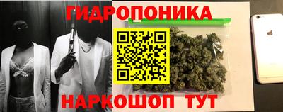 Альфа ПВП Гусев