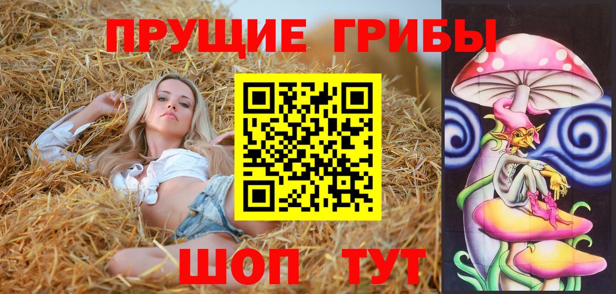 хочу наркоту  Псилоцибиновые грибы MAGIC MUSHROOMS  Вход с VPN  Псилоцибиновые грибы мицелий  Елабуга 